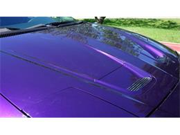 1997 Pontiac Firebird (CC-2069735) for sale in Grapevine, Texas