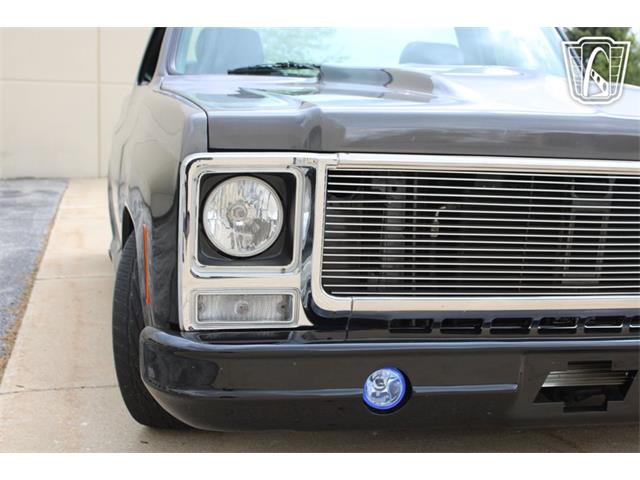 1980 Chevrolet C10 (CC-2069739) for sale in Crete, Illinois
