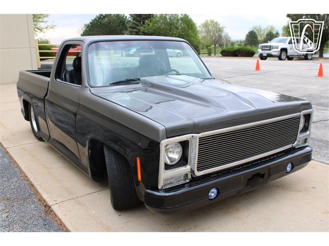 1980 Chevrolet C10 (CC-2069739) for sale in Crete, Illinois