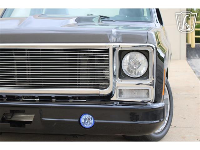 1980 Chevrolet C10 (CC-2069739) for sale in Crete, Illinois