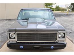 1980 Chevrolet C10 (CC-2069739) for sale in Crete, Illinois