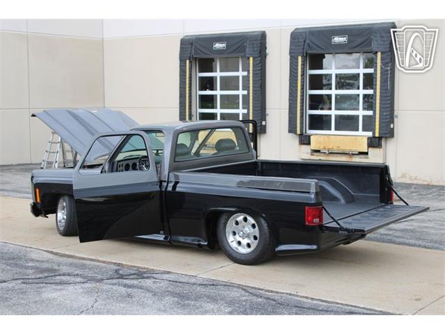 1980 Chevrolet C10 (CC-2069739) for sale in Crete, Illinois