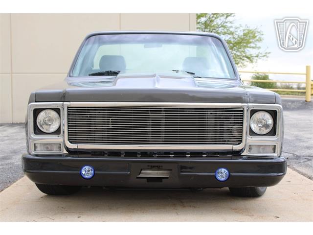 1980 Chevrolet C10 (CC-2069739) for sale in Crete, Illinois