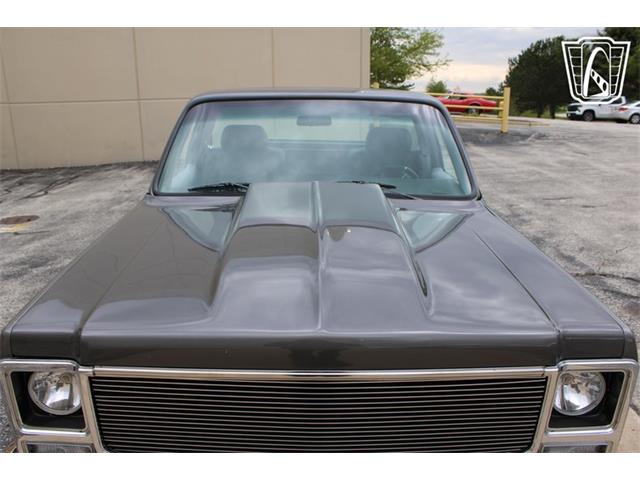 1980 Chevrolet C10 (CC-2069739) for sale in Crete, Illinois