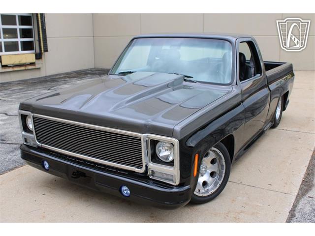 1980 Chevrolet C10 (CC-2069739) for sale in Crete, Illinois