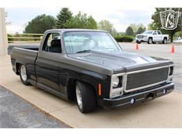 1980 Chevrolet C10 (CC-2069739) for sale in Crete, Illinois
