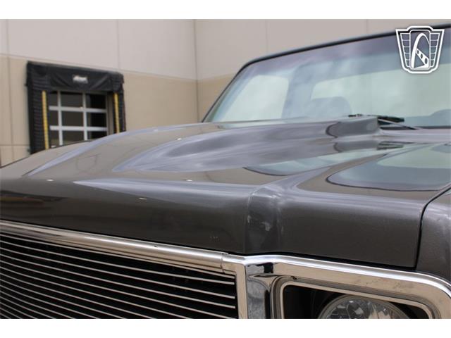 1980 Chevrolet C10 (CC-2069739) for sale in Crete, Illinois