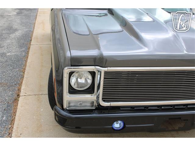 1980 Chevrolet C10 (CC-2069739) for sale in Crete, Illinois