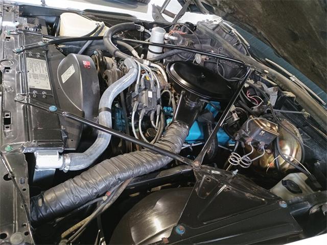 1979 Cadillac DeVille (CC-2069745) for sale in Boca Raton, Florida