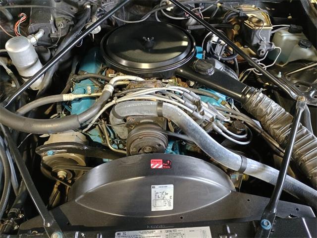 1979 Cadillac DeVille (CC-2069745) for sale in Boca Raton, Florida