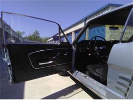 1966 Ford Mustang (CC-2069762) for sale in Reno, Nevada