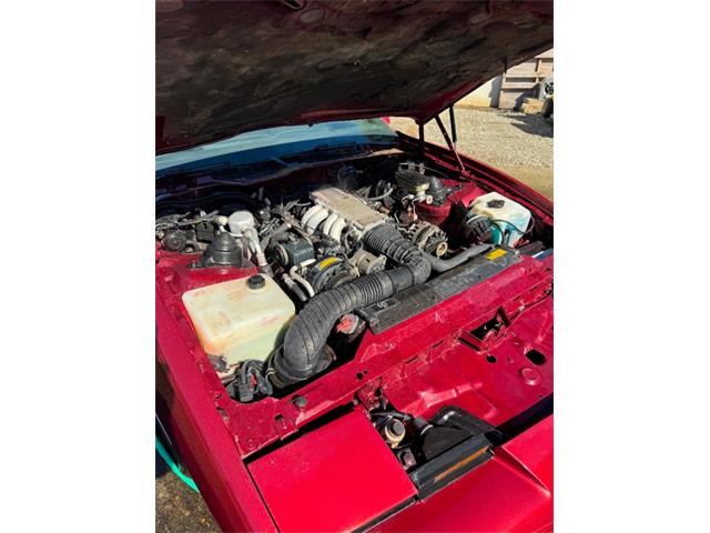 1989 Pontiac Firebird (CC-2069769) for sale in Reno, Nevada