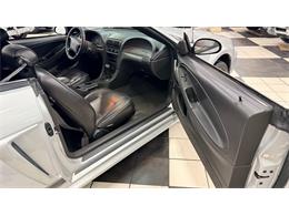 2002 Ford Mustang (CC-2069781) for sale in Annandale, Minnesota