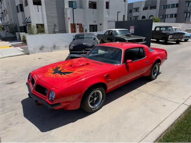 1975 Pontiac Firebird Trans Am (CC-2069802) for sale in Cadillac, Michigan