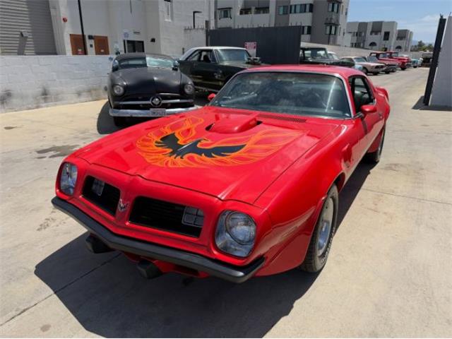1975 Pontiac Firebird Trans Am (CC-2069802) for sale in Cadillac, Michigan