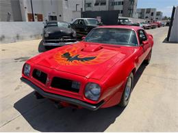 1975 Pontiac Firebird Trans Am (CC-2069802) for sale in Cadillac, Michigan