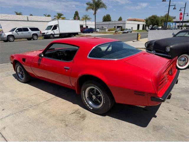 1975 Pontiac Firebird Trans Am (CC-2069802) for sale in Cadillac, Michigan