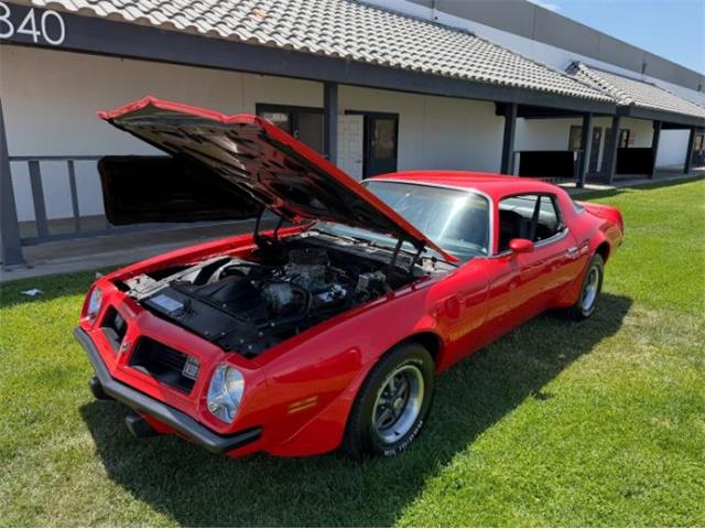 1975 Pontiac Firebird Trans Am (CC-2069802) for sale in Cadillac, Michigan