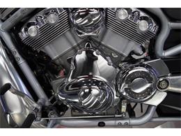 2003 Harley-Davidson V-Rod (CC-2069823) for sale in Biloxi, Mississippi