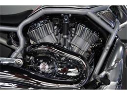 2003 Harley-Davidson V-Rod (CC-2069823) for sale in Biloxi, Mississippi