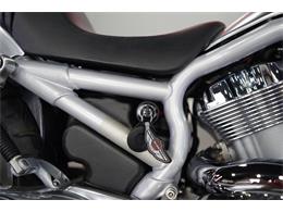 2003 Harley-Davidson V-Rod (CC-2069823) for sale in Biloxi, Mississippi