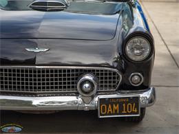 1956 Ford Convertible (CC-2069826) for sale in Torrance, California