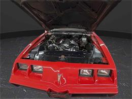 1981 Pontiac Firebird Trans Am (CC-2069852) for sale in Nashville, Illinois