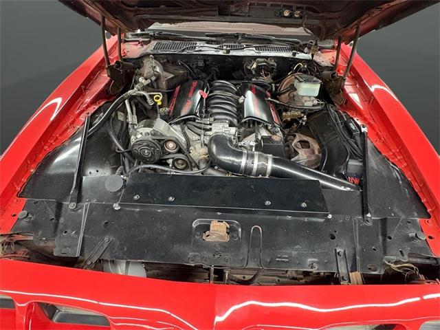 1981 Pontiac Firebird Trans Am (CC-2069852) for sale in Nashville, Illinois