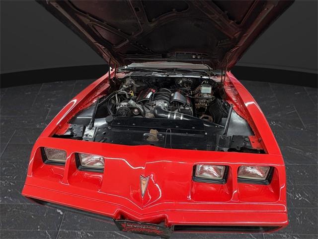 1981 Pontiac Firebird Trans Am (CC-2069852) for sale in Nashville, Illinois
