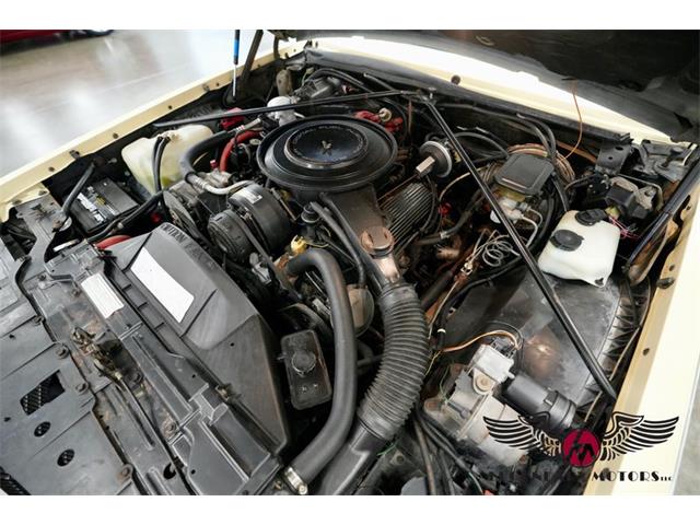 1985 Cadillac Seville (CC-2069858) for sale in Rowley, Massachusetts