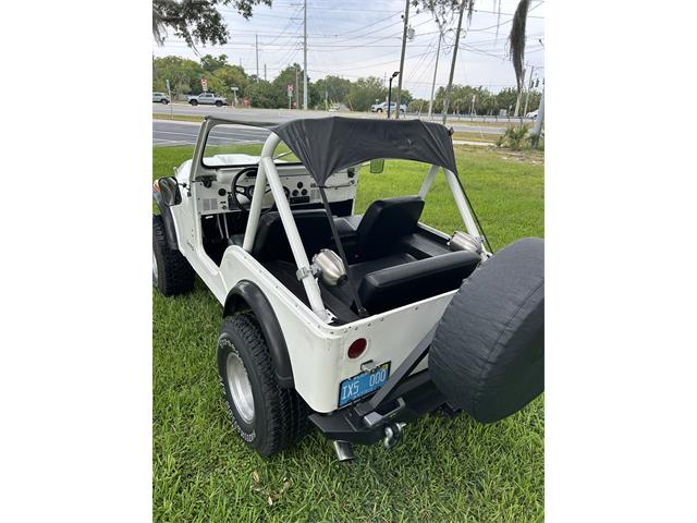 1981 Jeep CJ7 (CC-2069860) for sale in Mount Dora, Florida