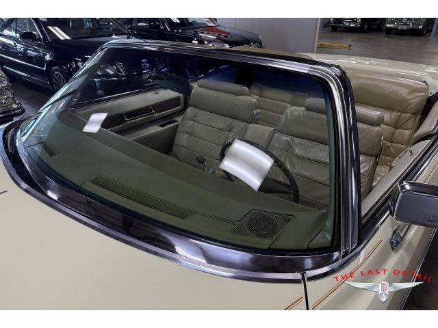 1976 Cadillac Eldorado (CC-2069887) for sale in Chicago, Illinois