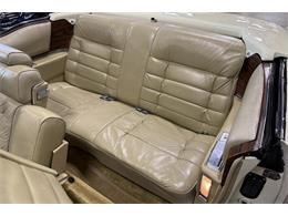 1976 Cadillac Eldorado (CC-2069887) for sale in Chicago, Illinois