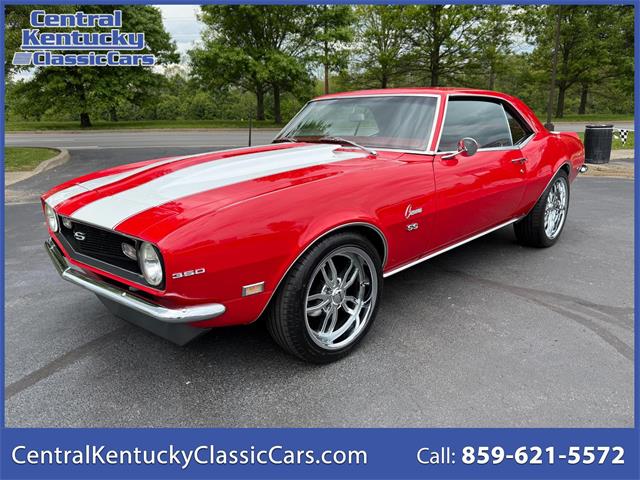 1968 Chevrolet Camaro SS (CC-2069892) for sale in Paris , Kentucky