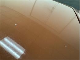 1978 MG MGB (CC-2071003) for sale in Morgantown, Pennsylvania
