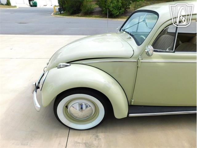 1960 Volkswagen Beetle (CC-2071009) for sale in Concord, North Carolina