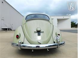 1960 Volkswagen Beetle (CC-2071009) for sale in Concord, North Carolina