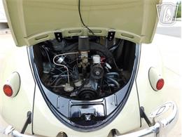 1960 Volkswagen Beetle (CC-2071009) for sale in Concord, North Carolina