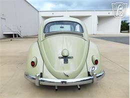1960 Volkswagen Beetle (CC-2071009) for sale in Concord, North Carolina