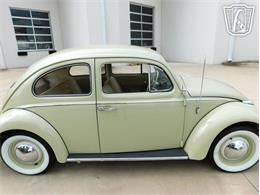 1960 Volkswagen Beetle (CC-2071009) for sale in Concord, North Carolina