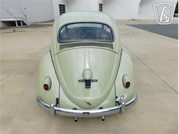 1960 Volkswagen Beetle (CC-2071009) for sale in Concord, North Carolina