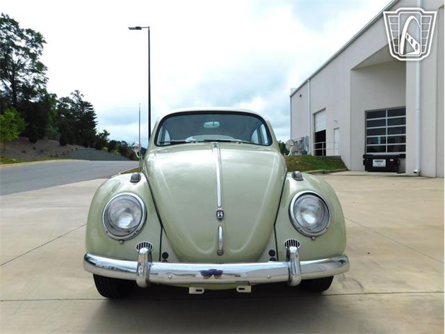 1960 Volkswagen Beetle (CC-2071009) for sale in Concord, North Carolina