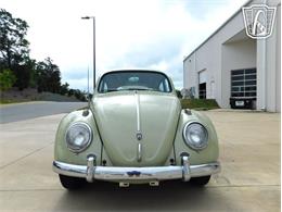 1960 Volkswagen Beetle (CC-2071009) for sale in Concord, North Carolina