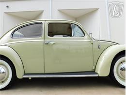 1960 Volkswagen Beetle (CC-2071009) for sale in Concord, North Carolina