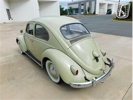 1960 Volkswagen Beetle (CC-2071009) for sale in Concord, North Carolina