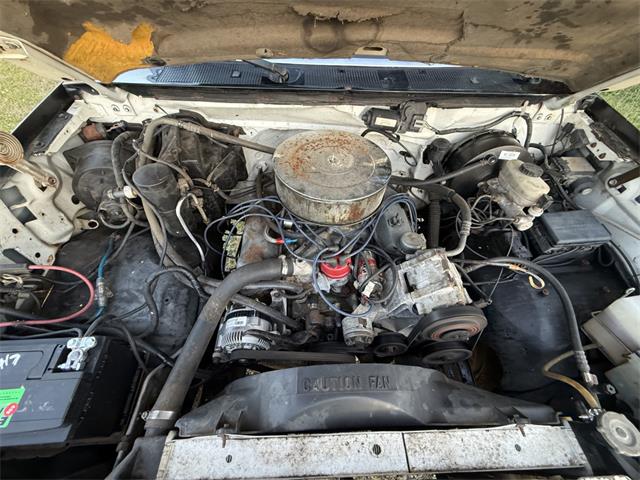 1995 Ford F350 (CC-2071040) for sale in Reno, Nevada