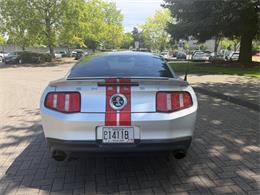 2011 Shelby GT500 (CC-2071041) for sale in Reno, Nevada