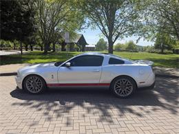 2011 Shelby GT500 (CC-2071041) for sale in Reno, Nevada