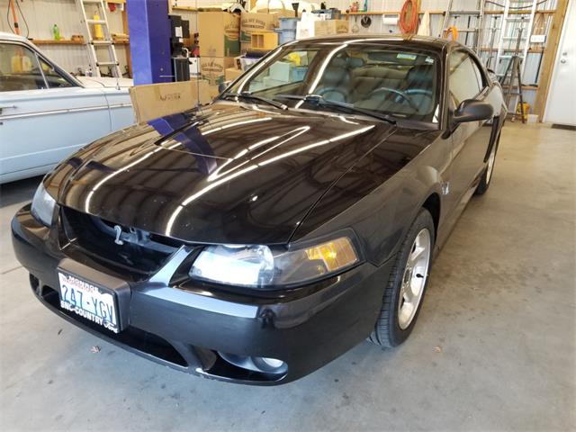 2001 Ford Mustang Cobra (CC-2071047) for sale in Reno, Nevada