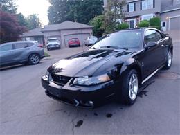 2001 Ford Mustang Cobra (CC-2071047) for sale in Reno, Nevada